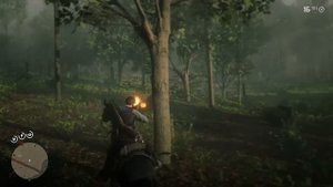 Сравнение деталей в мире RDR 2 и Ведьмак 3 - что лучше?