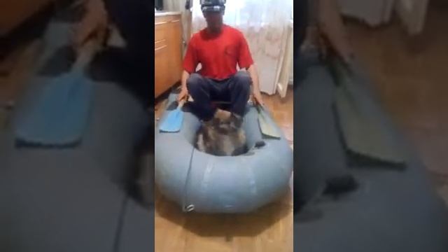 Рыбалка с собакой в квартире смотреть онлайн