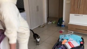 ТУРЦИЯ ЗИМОЙ. ТЁПЛЫЙ ОТДЫХ. НОВЫЙ ГОД В ТУРЦИИ. ТУРЦИЯ В ДЕКАБРЕ 2020г. ЭПИЗОД lll.