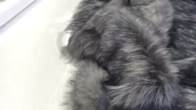 Мех: чернобурка смотреть онлайн