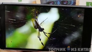 ТОП 5 САМЫХ ЛУЧШИХ БЮДЖЕТНЫХ СМАРТФОНОВ 2018 С ALIEXPRESS | Дешевые телефоны из китая до 100$