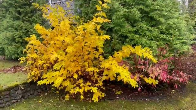 Осенние акценты смотреть онлайн