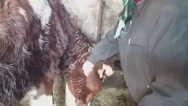 Моя домашняя продукция и рынок