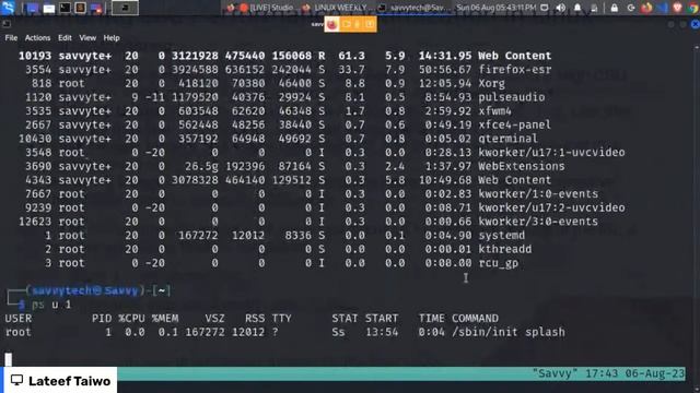 Monitoring and Performance Optimization смотреть онлайн