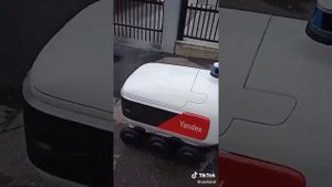 Яндекс робот доставка.