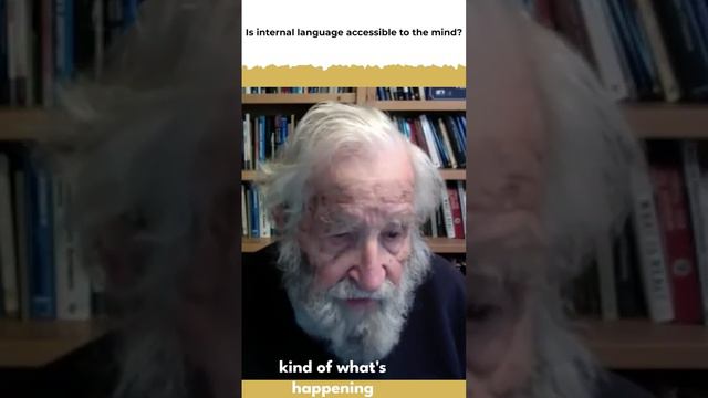 Noam CHOMSKY: The Secret of Internal Language #interview