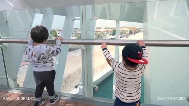 Nikon Z6 | Dubai Videographers Review by Paul Aggarao смотреть онлайн