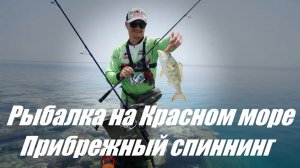 Рыбалка на Красном море. Прибрежный спиннинг