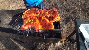 Шашлык из свинины на кости