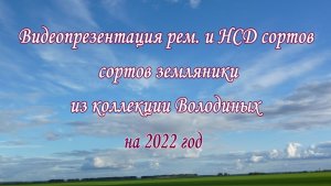 Видеопрезентация рем. и НСД сортов земляники из коллекции Володиных на 2022 год