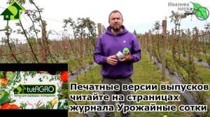 ОПАСНАЯ БОЛЕЗНЬ МАЛИНЫ и ЕЖЕВИКИ: безопасная борьба без рисков и побочки.