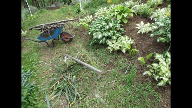 вырастил Пестрый ковер из растений И цветок-Нежность смотреть онлайн