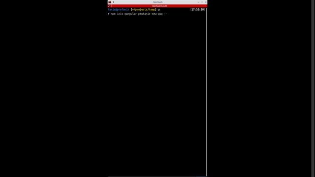Angular NPM Init Command
