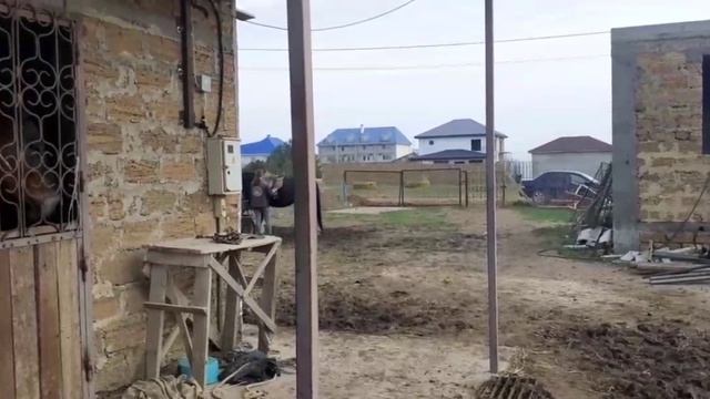 первая прогулка смотреть онлайн