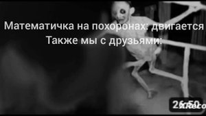 сборник мемов кот бегемот