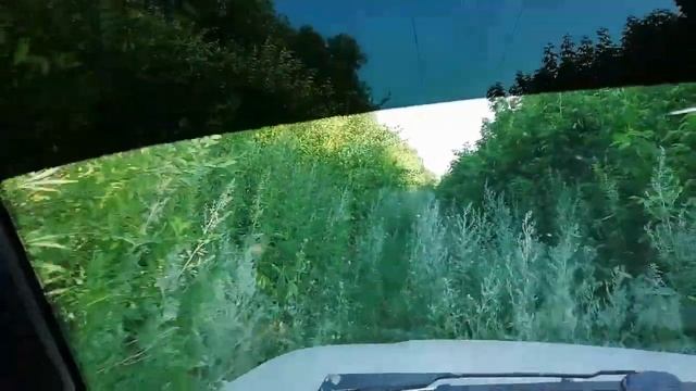Металлоискатель Quest X5 отличный металлокоп
