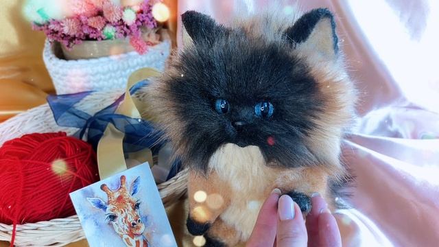 Одухотворенный котик Мурзик