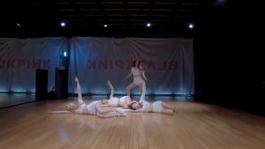 [BLACKPINK - Don't Know What To Do] dance practice mirrored