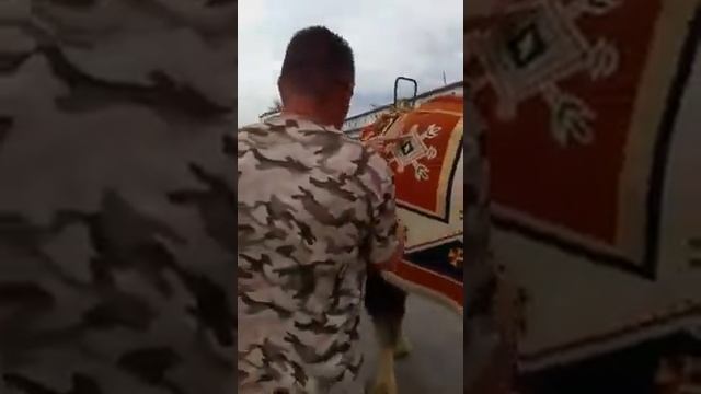 Русские рулят