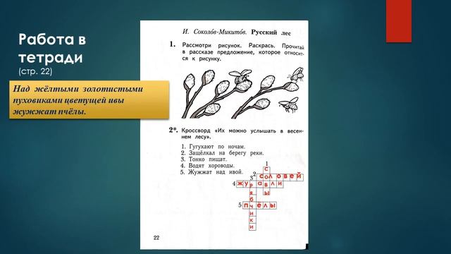 И.Соколов-Микитов "Русский лес"; Русская народная песня "Берёзонька" смотреть онлайн