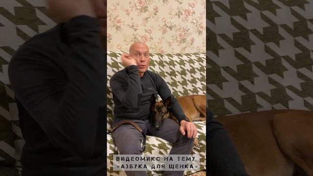 Азбука для щенка. Видеомикс из онлайн-занятий.