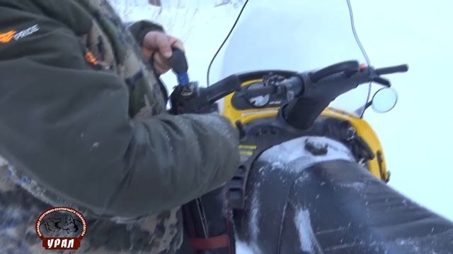 Охота на лося с лайками
