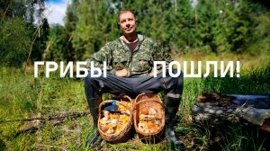 Грибы 2024 пошли!