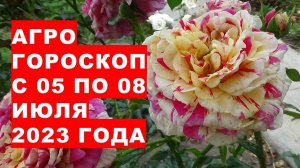 Агрогороскоп с 05 по 08 июля 2023 года. Агрогороскоп з 05 по 08 липня 2023 року