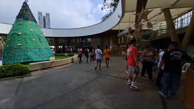 Ktv PILIPINAS is live! MANILA ZOO UPDATE TODAY JANUARY 01,2024 || MY FIRST VLOG! смотреть онлайн