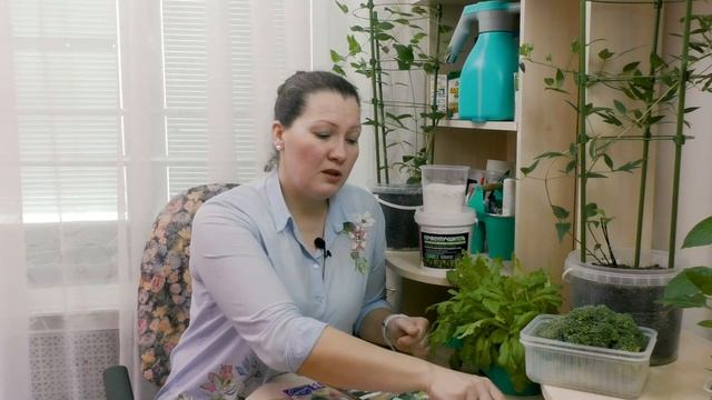 Традиционная белокочанная и что-то другое,вкусненькое.Какие виды и сорта капусты посеять в этом год