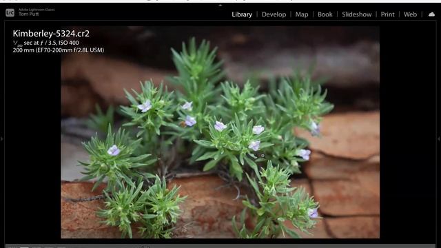 11 Focus Stacking