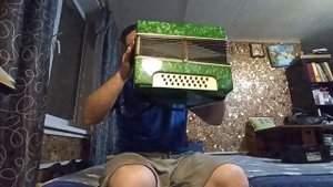 Гармонь Кировская Ивушка.
