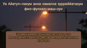 СУРА 36: «ЯСИН» («ЙА СИН»)Читенец Abdullah Humeid #islamsura #сураясин #ислам #ясин