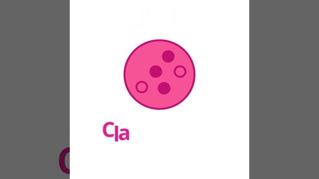 Slippery jack (Suillus luteus) | Classification | Scientific Short Profile | Shroomers смотреть онлайн