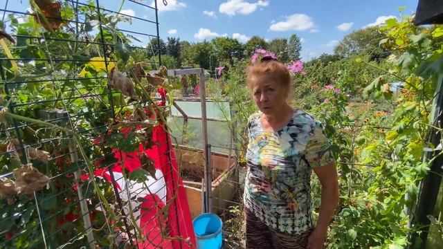 МАЛЕНЬКИЙ КУСОЧЕК КАЗАХСТАНА В ГЕРМАНИИ.ДАЧА РОДИТЕЛЕЙ . смотреть онлайн