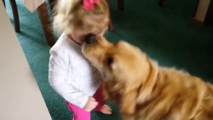 Самые Милые Дети Встречаются С Самыми Забавными Собаками!