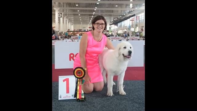 Marquis Des Arcanes D'Hermes - 1 year смотреть онлайн