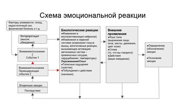 Диалектическая поведенческая терапия в лечении РПП | Лекция в ЦИРПП