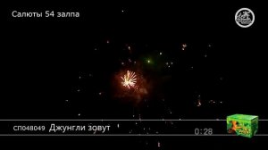 Салют Джунгли зовут
