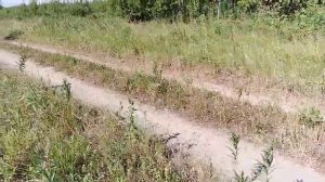 #Коп метала на Урочище, поездка на самодельном мотоблоке