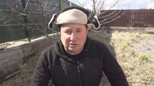 БОРОЗДОВАНИЕ КОРЫ ПЛОДОВЫХ ДЕРЕВЬЕВ  \ ВЕСЕННЕЕ БОРОЗДОВАНИЕ | СПАСЕНИЕ КОРЫ ПЛОДОВЫХ ДЕРЕВЬЕВ