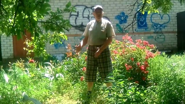 Сергей Михалков "Петух и курица", басня смотреть онлайн