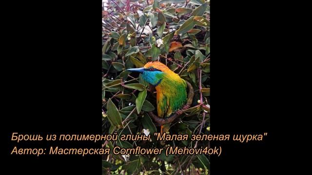 Не Надо Печалиться !