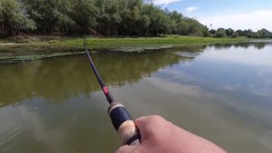 Отличная рыбалка на Бузане: судак, щука, окунь.