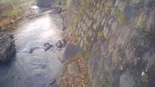 FED 3 NEW NORMAL PHOTOGRAPH: THE VILLAGE смотреть онлайн