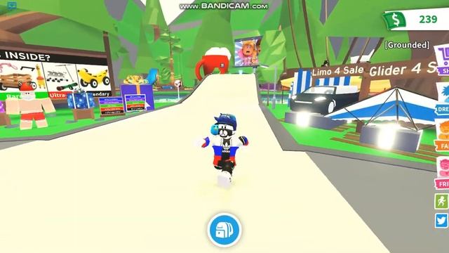 КАК ПОЛУЧИТЬ РАЙД И ФЛАЙ ЗЕЛЬЕ В АДОПТ МИ! смотреть онлайн