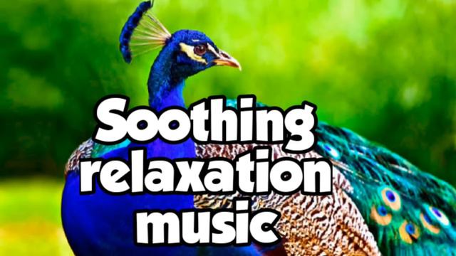 #Soothing #relaxation music | feel relaxed |#meditation|#healing|#peaceful смотреть онлайн