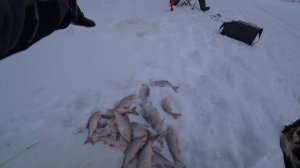 РЫБУ ДОЛГО ИСКАТЬ НЕ ПРИШЛОСЬ.РЫБАЛКА НА МАЛЕНЬКОЙ ТАЁЖНОЙ РЕКЕ.