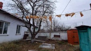 Сало для синиц и дятлов. Как повесить,  где купить