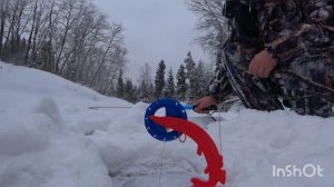 Рыбалка на жерлицы.Верховья реки Ухра.